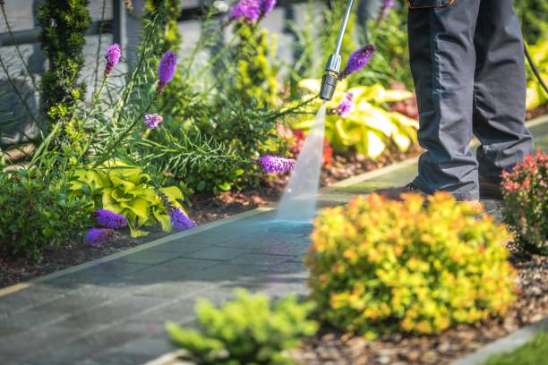 Best Sign and Awning Cleaning  in Amity, OR