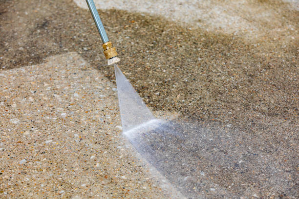 Best Soft Washing  in Amity, OR