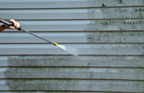 Best Gutter Cleaning  in Amity, OR